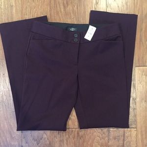 Ann Taylor LOFT petite NWT marisa bootcut pants